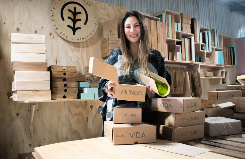 Emprendimientos con Triple Impacto, posibilidades y desafíos.